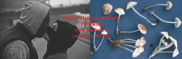 гидропоника Сафоново