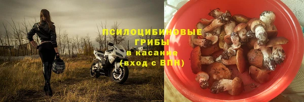 СК Алексеевка